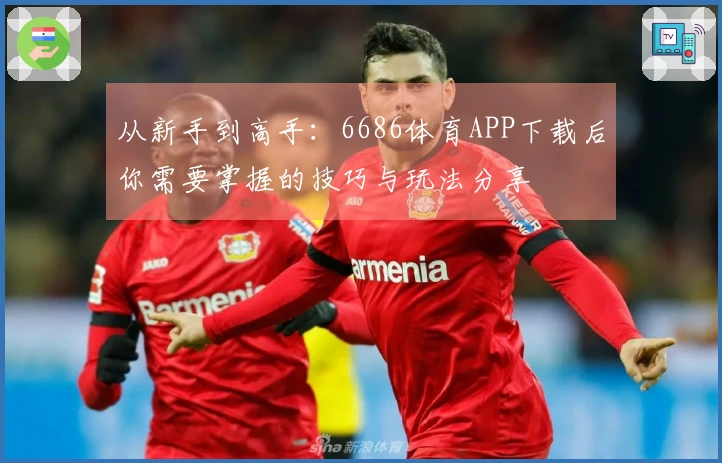 从新手到高手：6686体育APP下载后你需要掌握的技巧与玩法分享