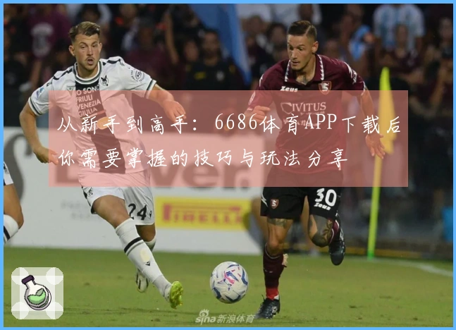 从新手到高手：6686体育APP下载后你需要掌握的技巧与玩法分享