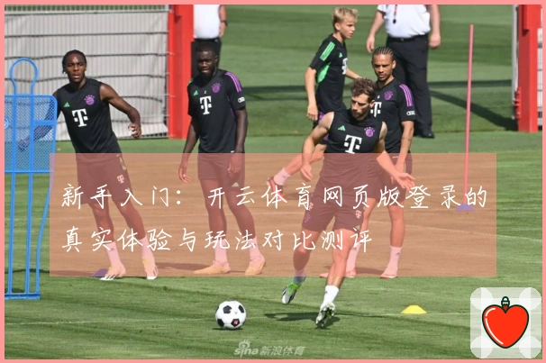 新手入门：开云体育网页版登录的真实体验与玩法对比测评