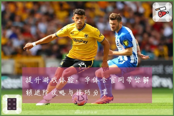 提升游戏体验，华体会官网带你解锁进阶攻略与技巧分享