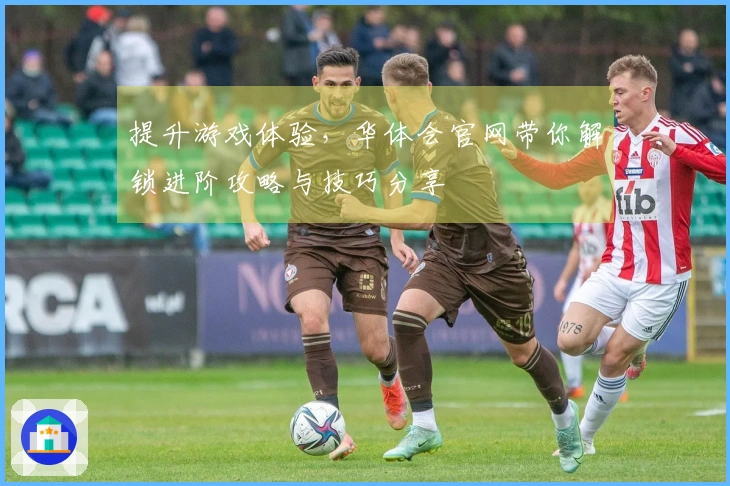 提升游戏体验,华体会官网带你解锁进阶攻略与技巧分享